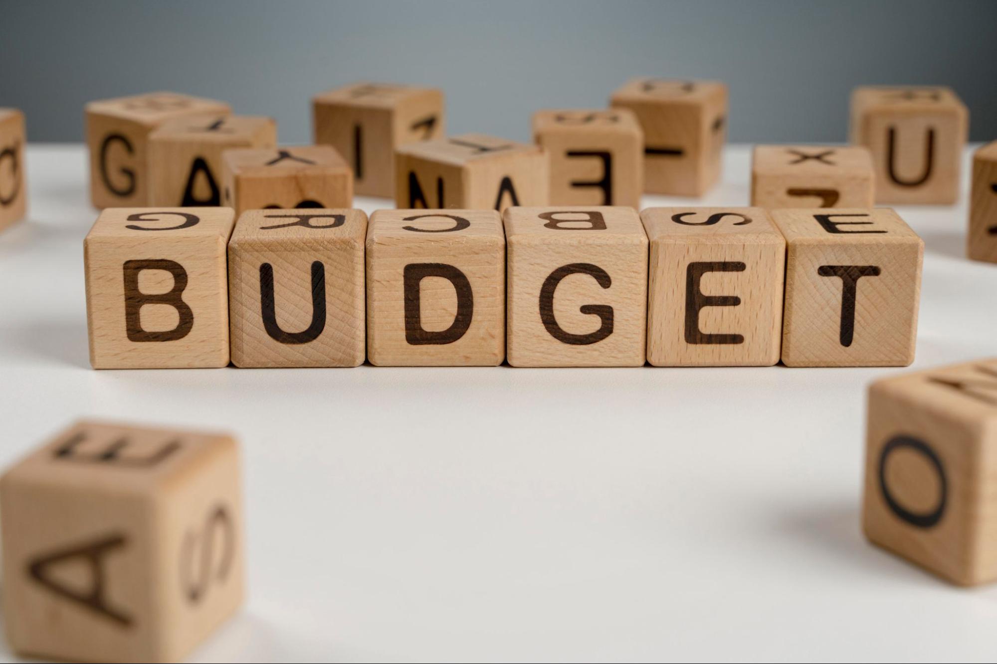 establishing a budget is a critical aspect of project planning.